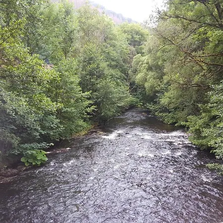 Erholung Pur Bei Nina Appartement Bad Lauterberg Buitenkant foto
