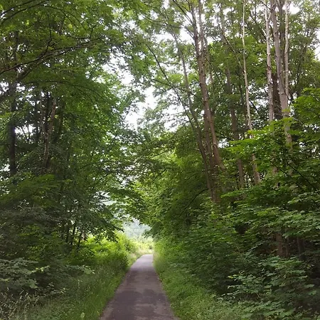Erholung Pur Bei Nina Appartement Bad Lauterberg Buitenkant foto